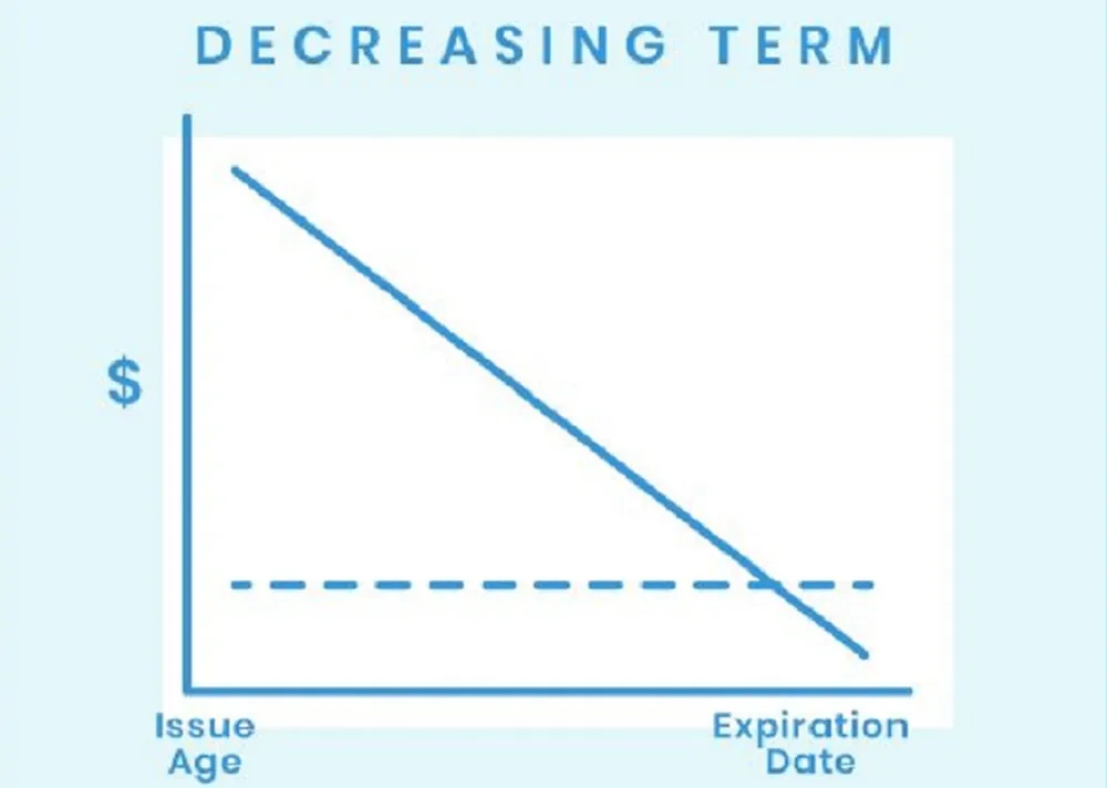What Is Decreasing Term Life Insurance what-is-decreasing-term-life-insurance